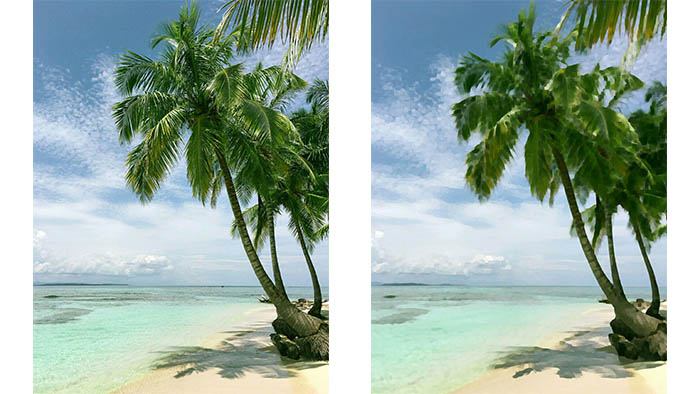 beach photo, beach landscape, palm tree, photo into painting, LightX App