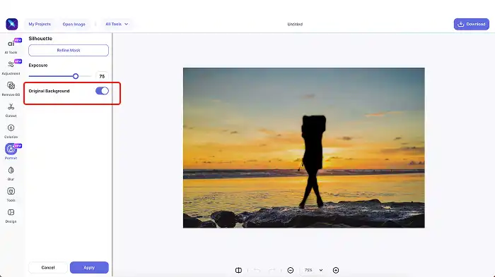  A screenshot of the silhouette background change feature in LightX.