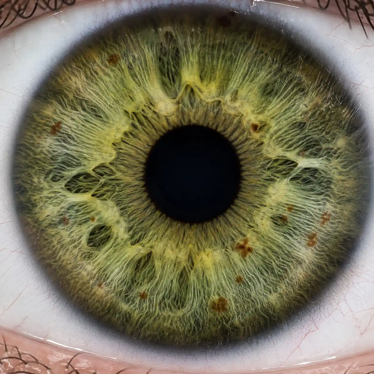 Extreme macro photograph of a green iris showing intricate fibers, crypts, and pupil details