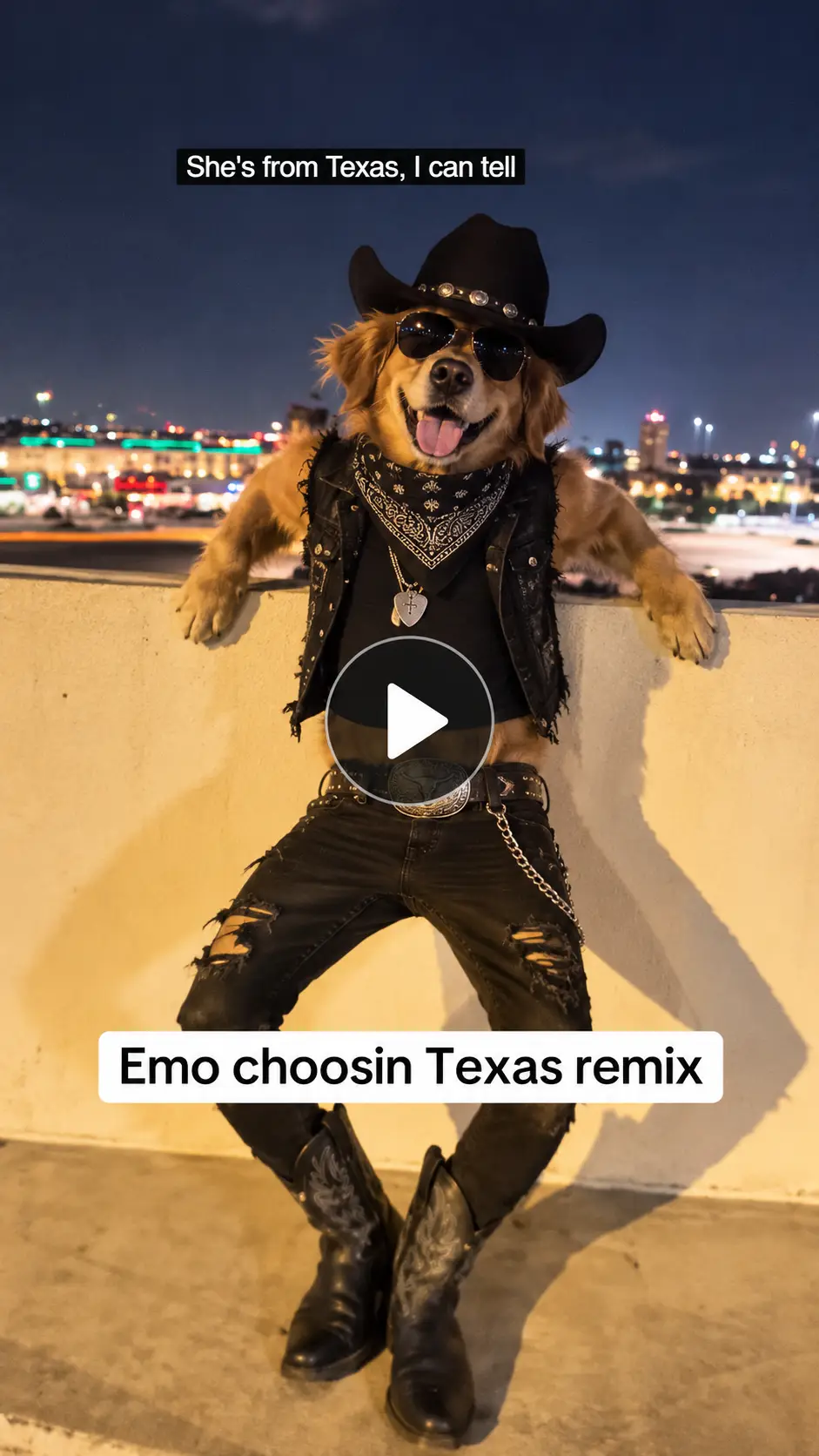 A dog playing on the terrace railing and dancing in a rockstar costume.
